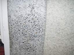 coolross 3680.jpg